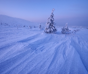 Śnieg, Drzewa, Góry, Zaspy, Zima