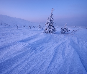 Zima, Drzewa, Zaspy, Góry, Śnieg