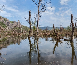 Góry, Skały, Odbicie, Uschnięte, Drzewa, Jezioro