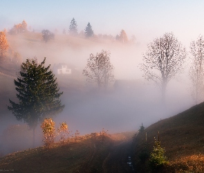 Drzewa, Dom, Mgła, Wzgórza, Jesień
