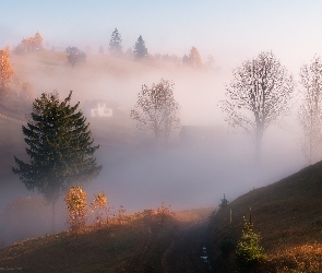 Jesień, Dom, Wzgórza, Mgła, Drzewa