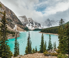 Moraine Lake, Drzewa, Jezioro, Lasy, Alberta, Góry, Kanada, Park Narodowy Banff