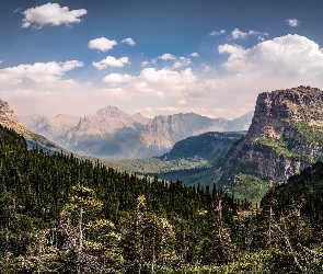 Stany Zjednoczone, Montana, Góry Skaliste, Park Narodowy Glacier, Las, Chmury