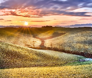 Pola, Drzewa, Wzgórza, Wschód słońca, Włochy, Prowincja Chieti, Villamagna, Abruzja, Trawa