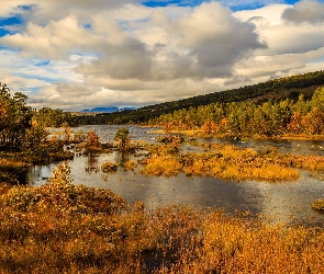 Jesień, Jezioro, Norwegia, Lasy, Park Narodowy Hardangervidda, Drzewa