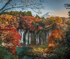 Liście, Wieczór, Jesień, Gałęzie, Park Narodowy Fudżi-Hakone-Izu, Drzewa, Japonia, Wodospad Shiraito