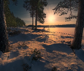 Drzewa, Zima, Norwegia, Śnieg, Promienie słońca, Ringerike, Jezioro
