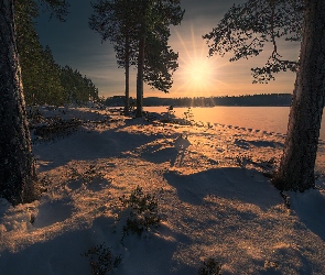Ringerike, Promienie słońca, Drzewa, Norwegia, Śnieg, Zima, Jezioro