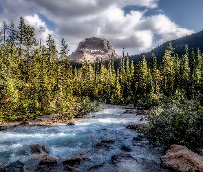 Góry, Drzewa, Park Narodowy Yoho, Rzeka, Prowincja Kolumbia Brytyjska, Wapta Mountain, Kanada, Chmury