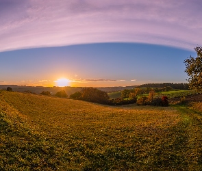 Drzewa, Wschód słońca, Pole