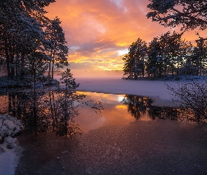 Jezioro, Śnieg, Zima, Norwegia, Zachód słońca, Drzewa, Ringerike, Lód
