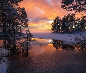 Śnieg, Drzewa, Zima, Jezioro, Ringerike, Lód, Norwegia, Zachód słońca