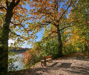 Drzewa, Ławka, Jesień, Droga, Słoneczny, Rzeka, Dzień, Brzeg