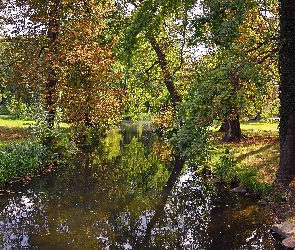 Dzień, Słoneczny, Park, Jesień, Drzewa, Rzeczka