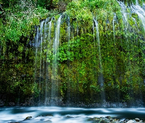 Rośliny, Stany Zjednoczone, Stan Kalifornia, Dunsmuir, Wodospad Mossbrae Falls