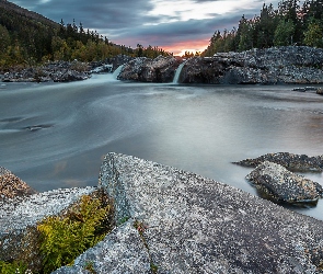 Region Buskerud, Drzewa, Skały, Rzeka Hallingdalselva, Norwegia