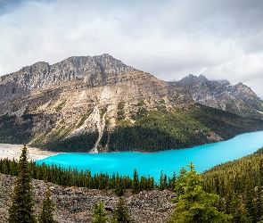 Góry, Alberta, Drzewa, Kanada, Park Narodowy Banff, Las, Canadian Rockies, Chmury, Jezioro Peyto Lake