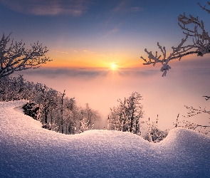 Zima, Wschód słońca, Zaspa, Mgła, Drzewa