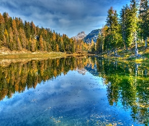 Góry Dolomity, Jezioro Antorno Lake, Włochy, Las, Drzewa, Prowincja Belluno, Jesień
