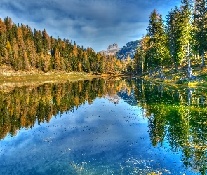 Prowincja Belluno, Drzewa, Góry Dolomity, Włochy, Las, Jezioro Antorno Lake, Jesień
