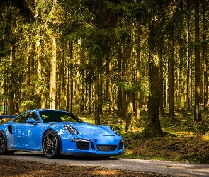 Porsche 911 GT3, Las, Niebieskie