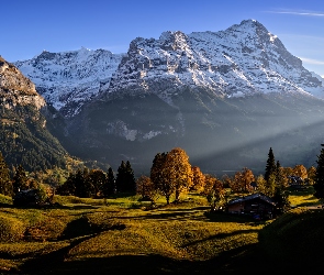 Kanton Berno, Szwajcaria, Domy, Góry, Alpy Berneńskie, Drzewa, Wieś Grindelwald