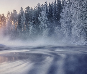Ośnieżone, Rzeka, Finlandia, Las, Mgła, Zima, Drzewa