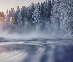 Zima, Mgła, Ośnieżone, Finlandia, Las, Rzeka, Drzewa