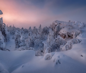 Zima, Kraj Premski, Skały, Rosja, Góra Krestovaya, Góry, Zaśnieżone, Drzewa, Krzewy