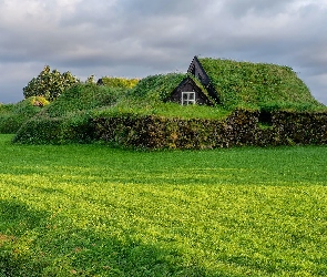 Islandia, Trawa, Dom, Kamienie, Wieś