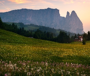 Łąka, Drzewa, Góry, Dom, Góra Schlern, Włochy, Dolomity
