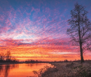 Niebo, Czerwonawe, Rzeka, Wschód słońca, Drzewo, Chmury