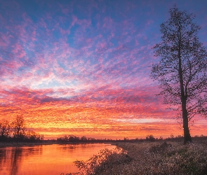 Niebo, Czerwonawe, Rzeka, Wschód słońca, Drzewo, Chmury