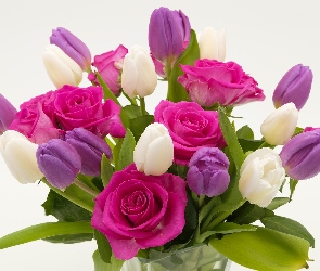 Fioletowe, Kwiaty, Bukiet, Liście, Róże, Białe, Różowe, Tulipany