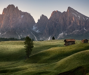 Dolomity, Płaskowyż Seiser Alm, Włochy, Chmury, Domki, Góry Sassolungo, Drzewa, Dolina Val Gardena