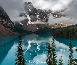 Jezioro, Alberta, Chmury, Kanada, Park Narodowy Banff, Drzewa, Moraine Lake, Góry, Lasy