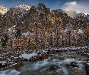 Drzewa, Śnieg, Strumyk, Kamienie, Góry