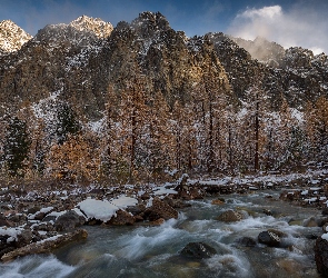 Góry, Śnieg, Kamienie, Strumyk, Drzewa