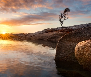 Tasmania, Skały, Australia, Morze, Wschód słońca, Binalong Bay, Chmury, Drzewo