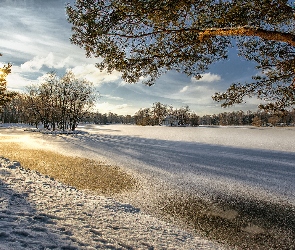 Park, Drzewa, Staw, Zaśnieżony, Zima