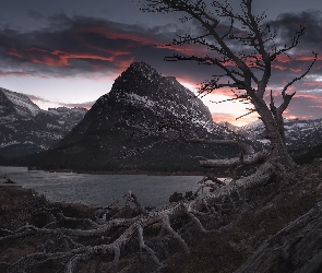 Stany Zjednoczone, Zachód słońca, Drzewo, Montana, Góry, Swiftcurrent Lake, Park Narodowy Glacier, Bezlistne, Jezioro, Powalone