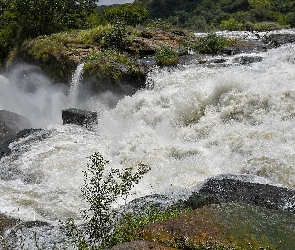 Nil Wiktorii, Murchison Falls, Wodospad, Afryka, Park Narodowy Wodospadu Murchisona, Kamienie, Uganda, Rzeka