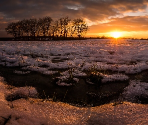 Śnieg, Zachód słońca, Drzewa, Pola, Zima