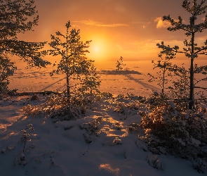 Zaśnieżone, Zima, Zachód słońca, Norwegia, Drzewa, Jezioro, Ringerike, Śnieg