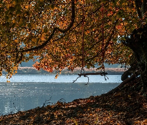 Jesień, Rzeka, Huśtawka, Drzewo