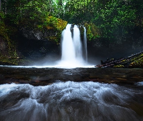 Drzewa, Rzeka, Waszyngton, Roślinność, Iron Creek Falls, Stany Zjednoczone, Wodospad