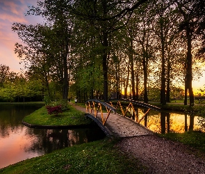 Park, Drzewa, Roślinność, Staw, Mostek, Zachód słońca