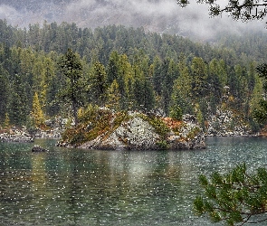 Skała, Jezioro Bergsee, Szwajcaria, Drzewa, Las, Kanton Berno, Wysepka