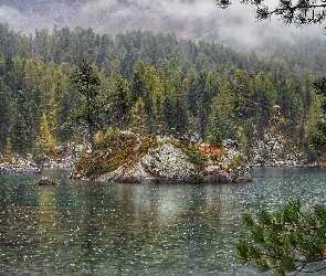 Kanton Berno, Las, Skała, Szwajcaria, Drzewa, Jezioro Bergsee, Wysepka