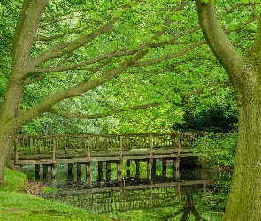 Park, Rzeczka, Drzewa, Mostek, Zielone